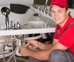 About Plumbers Pros Lake, MI